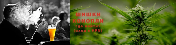 дмт Алексин