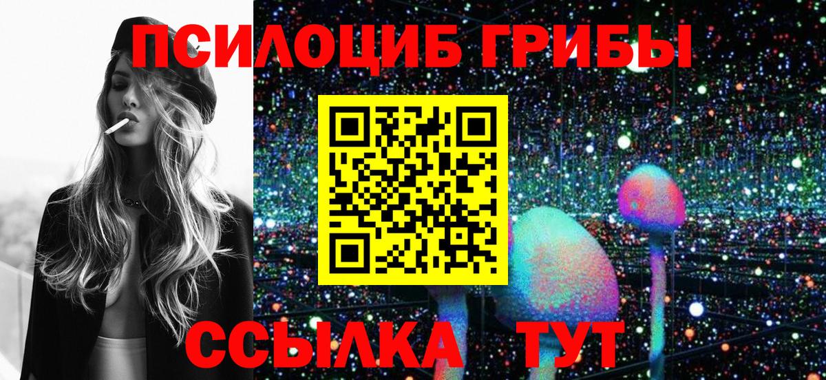 Галлюциногенные грибы Psilocybe Тара