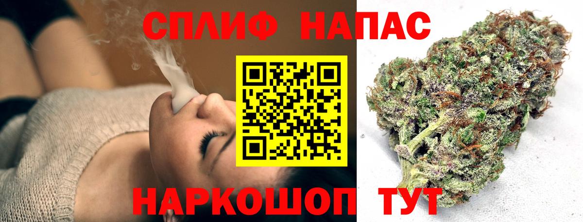 Канабис Amnesia  МАРИХУАНА сатива  Тара  Каннабис Bruce Banner  Вход с VPN  Канабис гибрид 